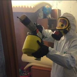 Уничтожение клопов в квартире. Строгино